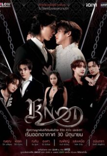 Knot (2026)