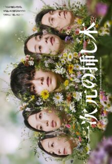 Labyrinth of Hortensia and the Minotaur (2026)