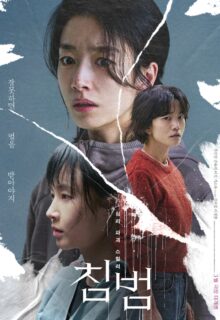 Somebody (2024)